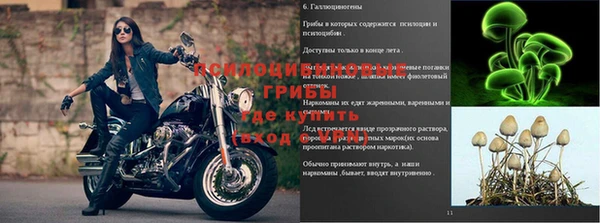 МДПВ Верхний Тагил