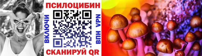 Купить  Нерчинск  Галлюциногенные грибы Psilocybine cubensis 